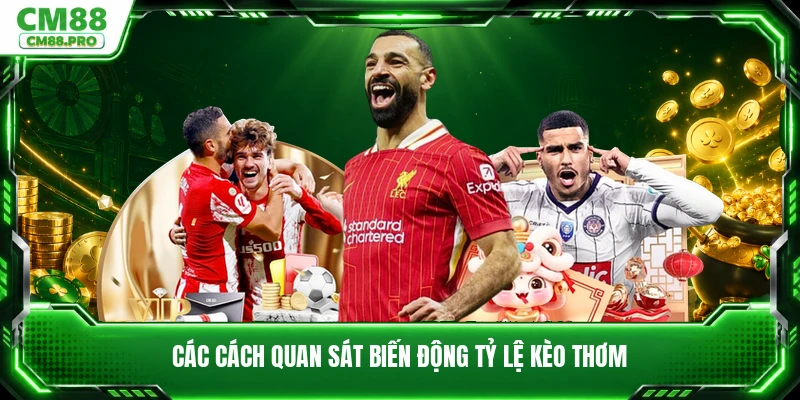 Các cách quan sát biến động tỷ lệ kèo thơm