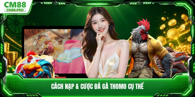 Cách nạp & cược đá gà Thomo cụ thể