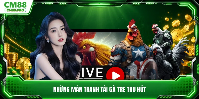 Những màn tranh tài gà tre thu hút