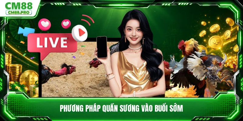 Phương pháp quần sương vào buổi sớm