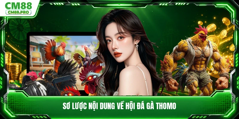 Sơ lược nội dung về hội đá gà Thomo