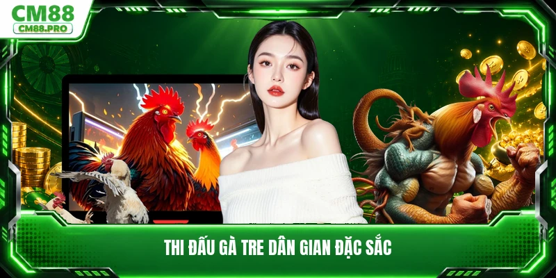 Thi đấu gà tre dân gian đặc sắc